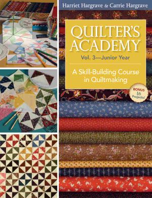 [Quilter's Academy 03] • Quilter's Academy Vol. 3 Junior Year